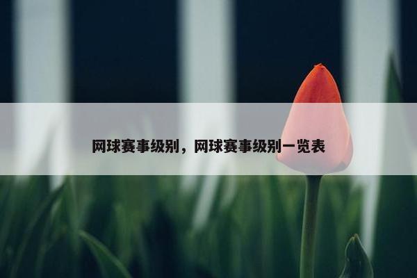 网球赛事级别，网球赛事级别一览表