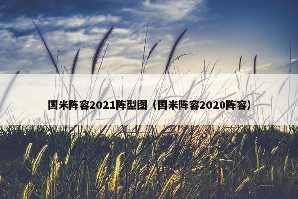 国米阵容2021阵型图（国米阵容2020阵容）