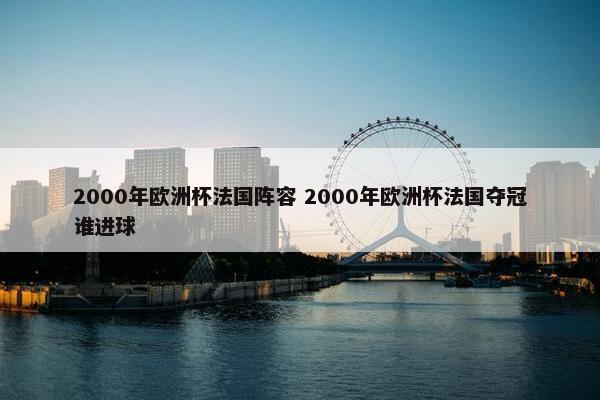 2000年欧洲杯法国阵容 2000年欧洲杯法国夺冠谁进球