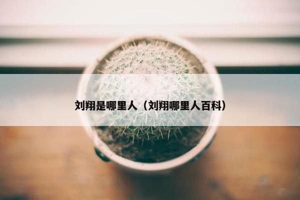 刘翔是哪里人（刘翔哪里人百科）