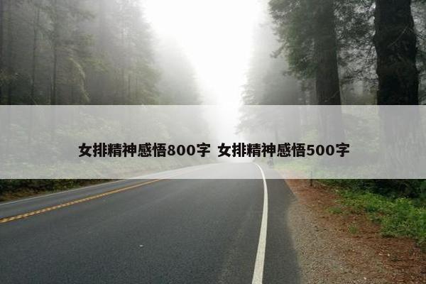 女排精神感悟800字 女排精神感悟500字