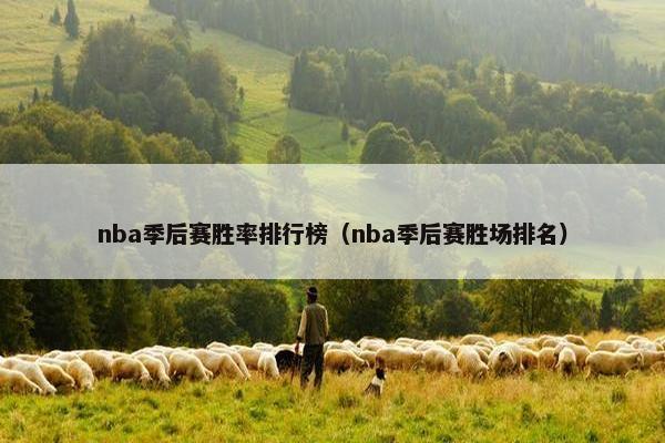 nba季后赛胜率排行榜（nba季后赛胜场排名）