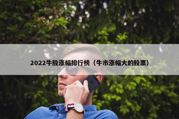 2022牛股涨幅排行榜（牛市涨幅大的股票）