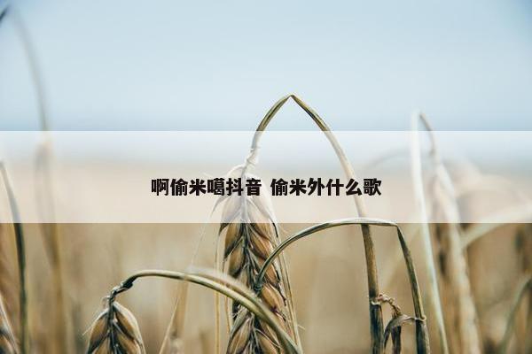 啊偷米噶抖音 偷米外什么歌