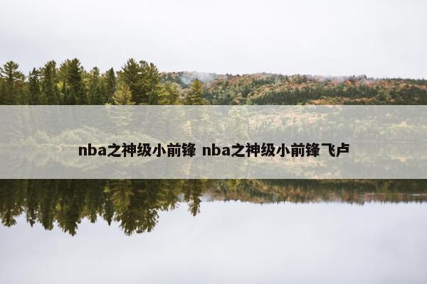 nba之神级小前锋 nba之神级小前锋飞卢