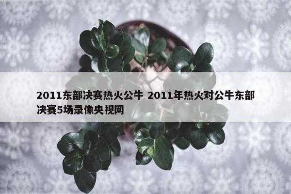 2011东部决赛热火公牛 2011年热火对公牛东部决赛5场录像央视网