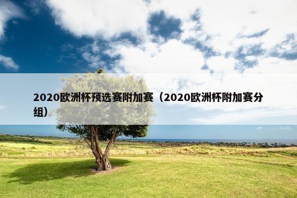 2020欧洲杯预选赛附加赛（2020欧洲杯附加赛分组）