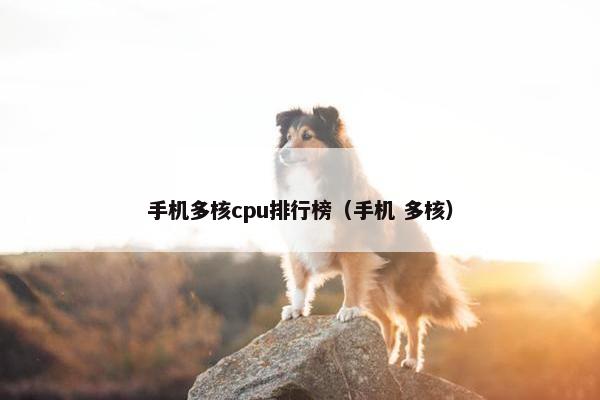 手机多核cpu排行榜（手机 多核）