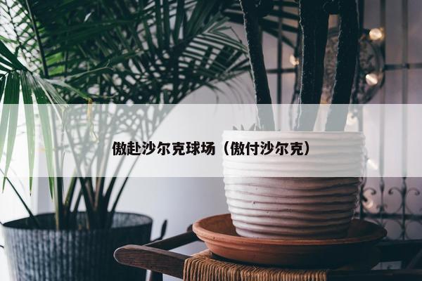 傲赴沙尔克球场（傲付沙尔克）