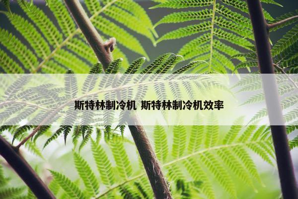 斯特林制冷机 斯特林制冷机效率