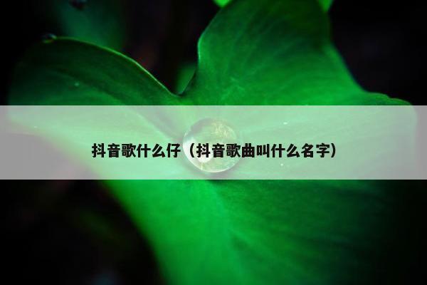 抖音歌什么仔（抖音歌曲叫什么名字）