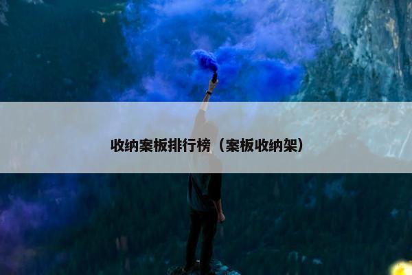 收纳案板排行榜（案板收纳架）