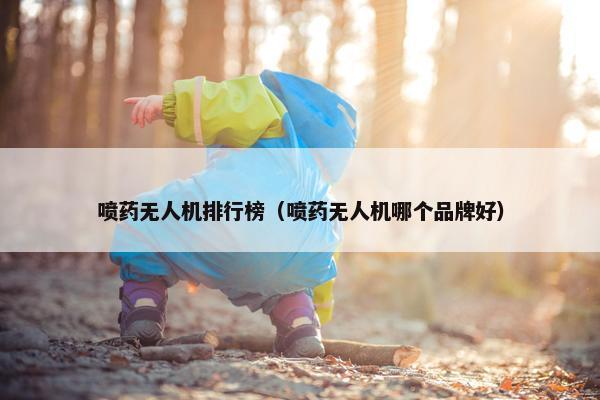 喷药无人机排行榜（喷药无人机哪个品牌好）