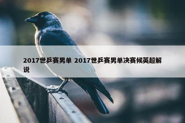 2017世乒赛男单 2017世乒赛男单决赛候英超解说