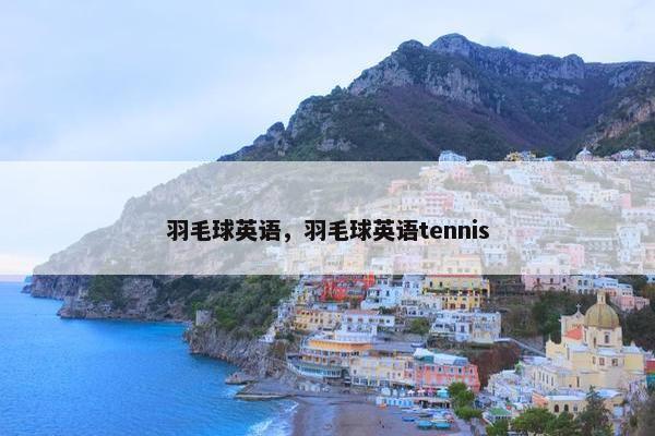 羽毛球英语，羽毛球英语tennis