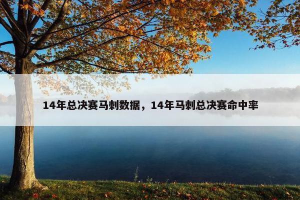 14年总决赛马刺数据，14年马刺总决赛命中率