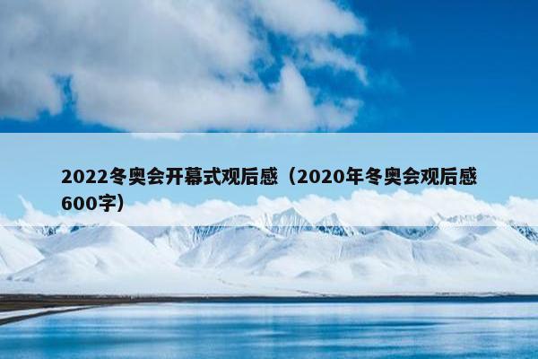 2022冬奥会开幕式观后感（2020年冬奥会观后感600字）