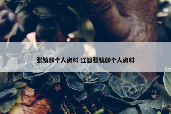 张镇麟个人资料 辽篮张镇麟个人资料