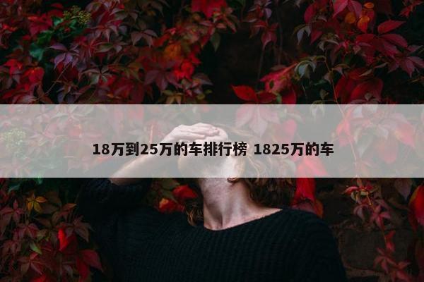 18万到25万的车排行榜 1825万的车