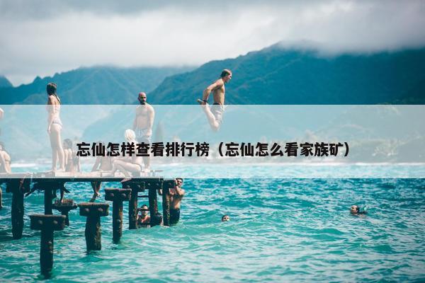 忘仙怎样查看排行榜（忘仙怎么看家族矿）