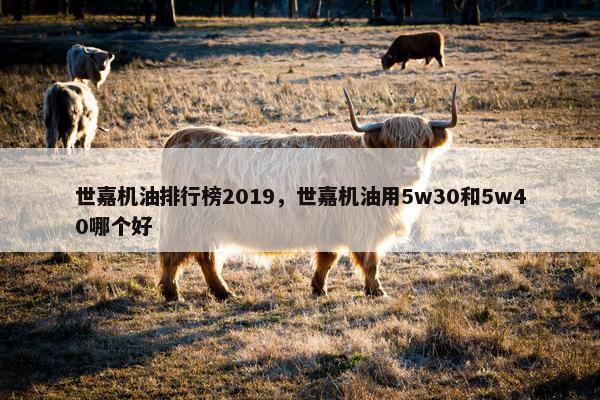 世嘉机油排行榜2019，世嘉机油用5w30和5w40哪个好