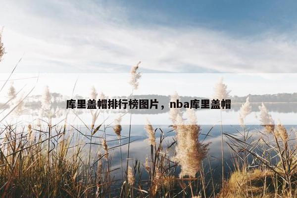 库里盖帽排行榜图片，nba库里盖帽