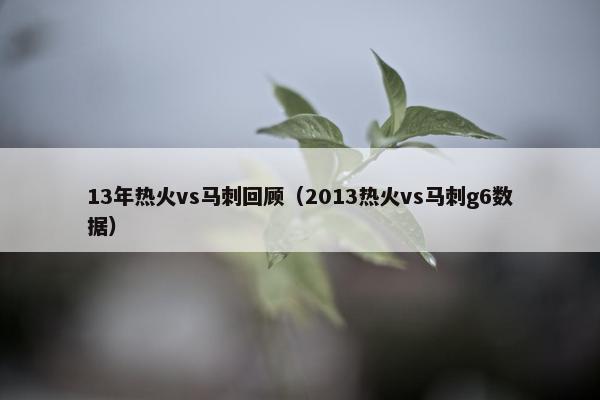 13年热火vs马刺回顾（2013热火vs马刺g6数据）