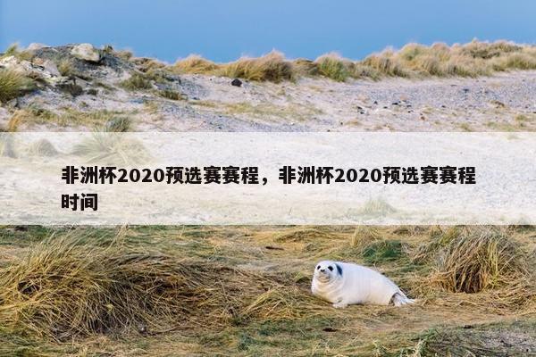 非洲杯2020预选赛赛程，非洲杯2020预选赛赛程时间