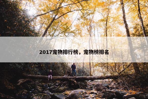 2017宠物排行榜，宠物榜排名