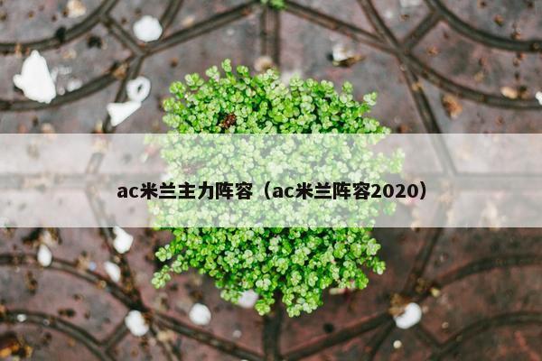 ac米兰主力阵容（ac米兰阵容2020）