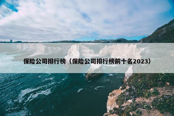 保险公司排行榜（保险公司排行榜前十名2023）