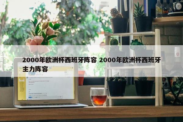 2000年欧洲杯西班牙阵容 2000年欧洲杯西班牙主力阵容