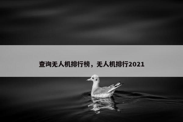 查询无人机排行榜，无人机排行2021