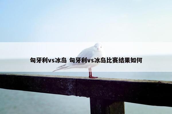 匈牙利vs冰岛 匈牙利vs冰岛比赛结果如何