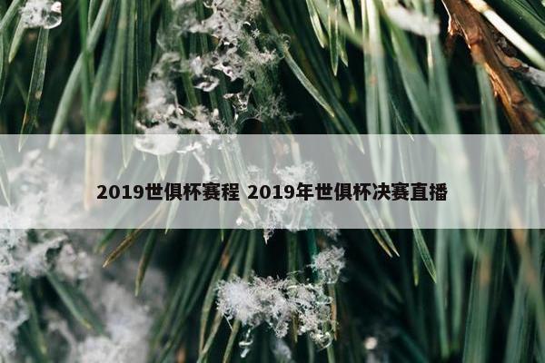 2019世俱杯赛程 2019年世俱杯决赛直播