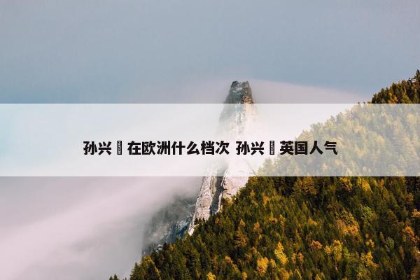 孙兴慜在欧洲什么档次 孙兴慜英国人气