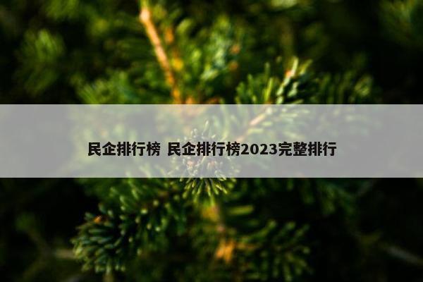 民企排行榜 民企排行榜2023完整排行