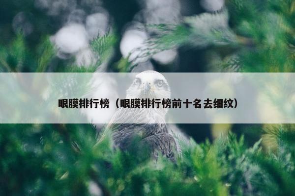 眼膜排行榜（眼膜排行榜前十名去细纹）