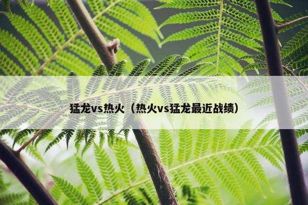 猛龙vs热火（热火vs猛龙最近战绩）