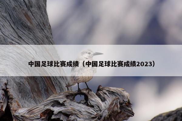 中国足球比赛成绩（中国足球比赛成绩2023）