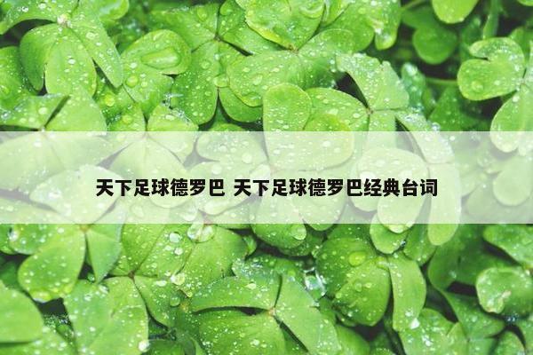 天下足球德罗巴 天下足球德罗巴经典台词