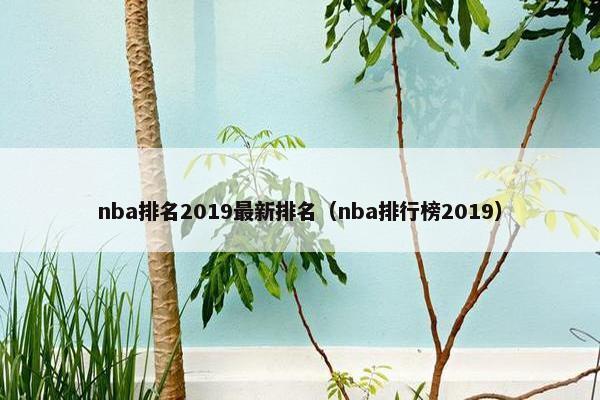 nba排名2019最新排名（nba排行榜2019）