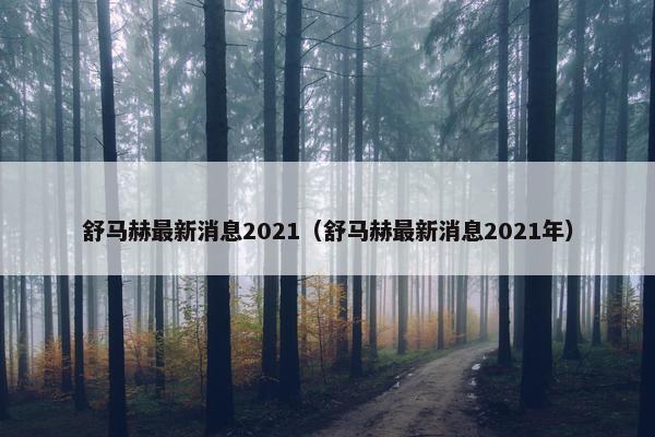 舒马赫最新消息2021（舒马赫最新消息2021年）