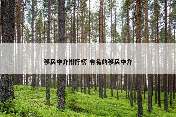 移民中介排行榜 有名的移民中介