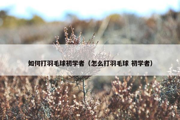 如何打羽毛球初学者（怎么打羽毛球 初学者）