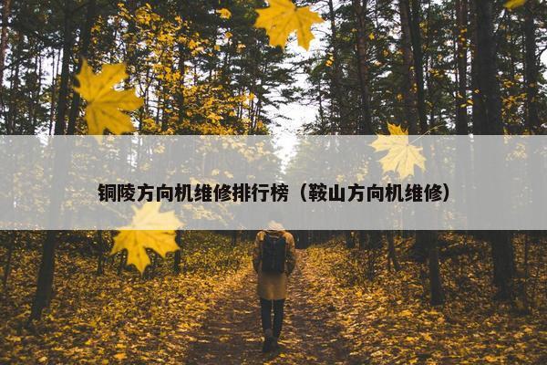 铜陵方向机维修排行榜（鞍山方向机维修）