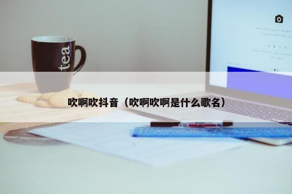 吹啊吹抖音（吹啊吹啊是什么歌名）