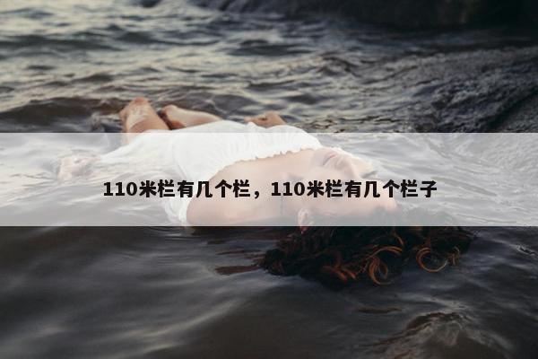 110米栏有几个栏，110米栏有几个栏子