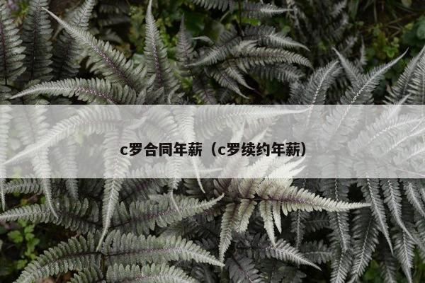 c罗合同年薪（c罗续约年薪）