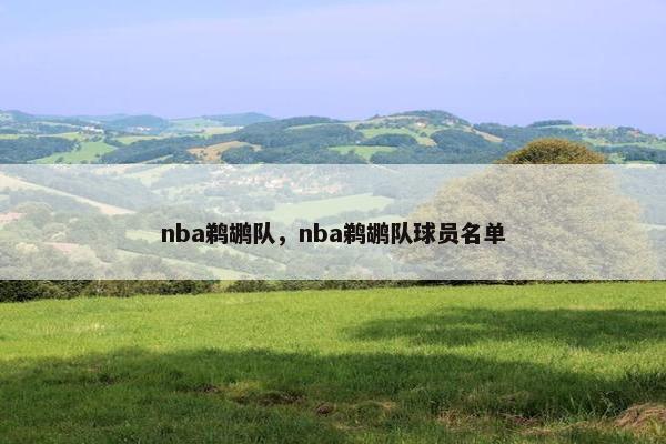 nba鹈鹕队，nba鹈鹕队球员名单